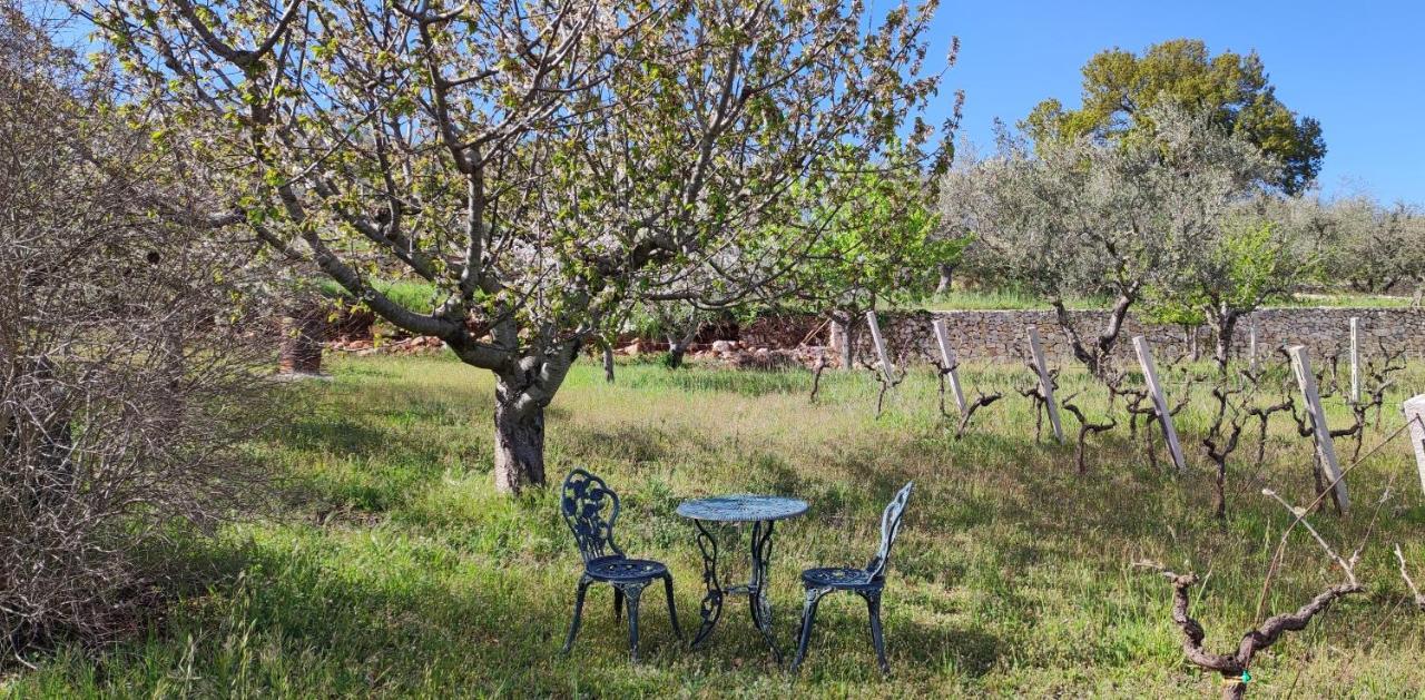 Villa Il Vigneto Sole&Luna Con Piscina Privata Martina Franca Exterior foto